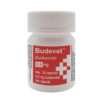 Budevet0.5.jpg